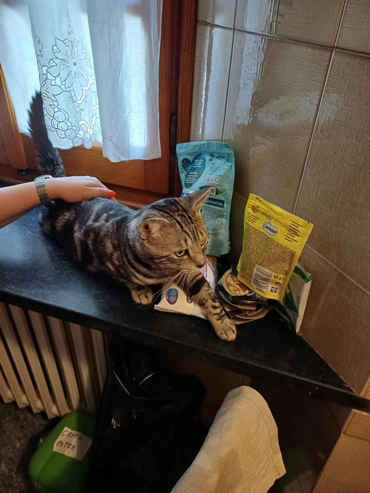 Ca Degli Ulivi Hotel Finale Ligure Bilik gambar